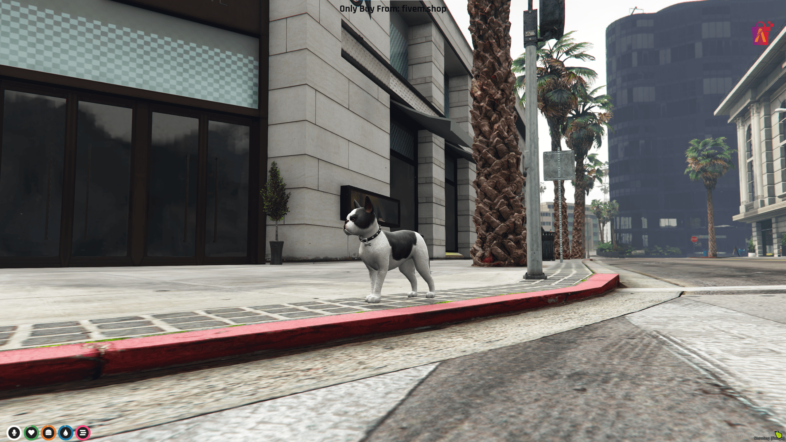buldogue ped fivem