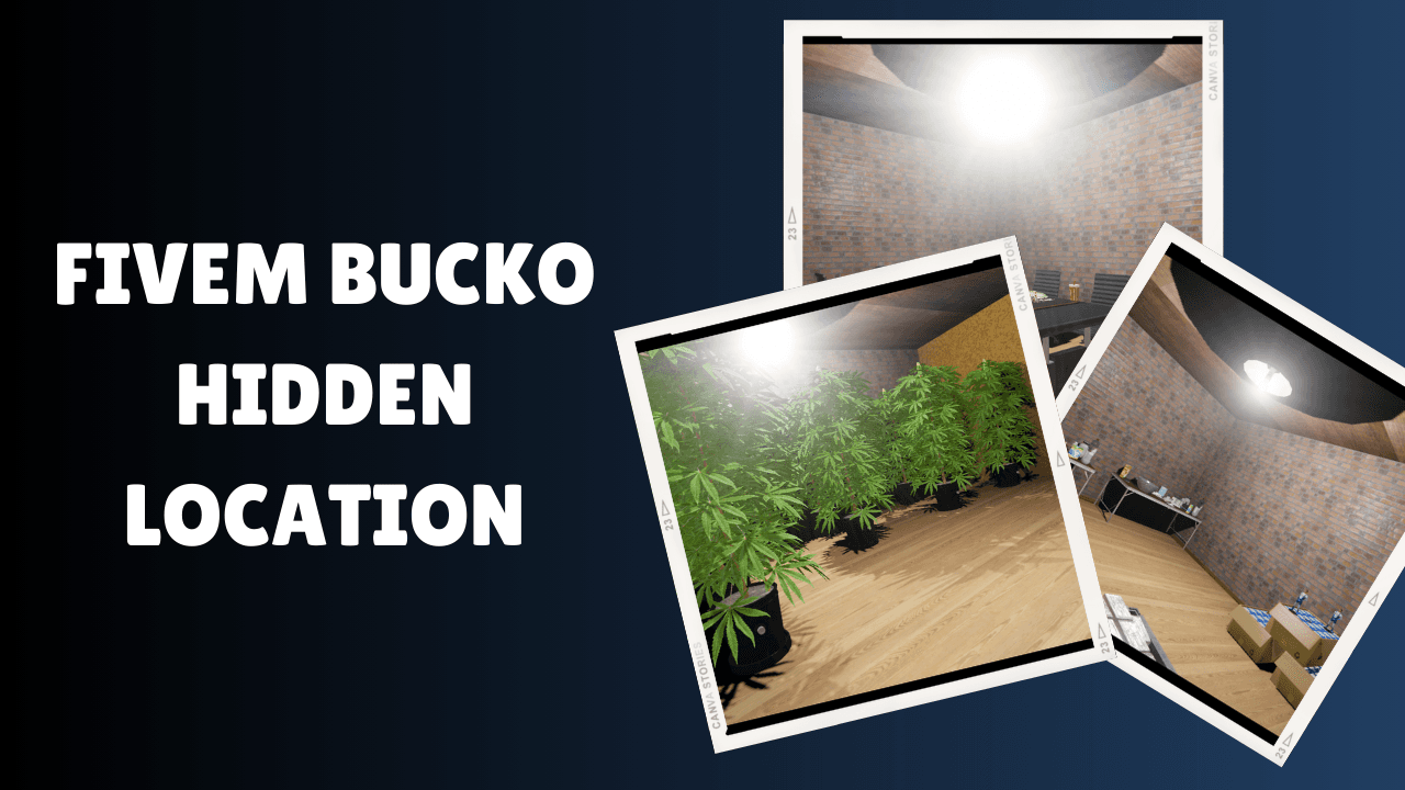 localização oculta do bucko fivem