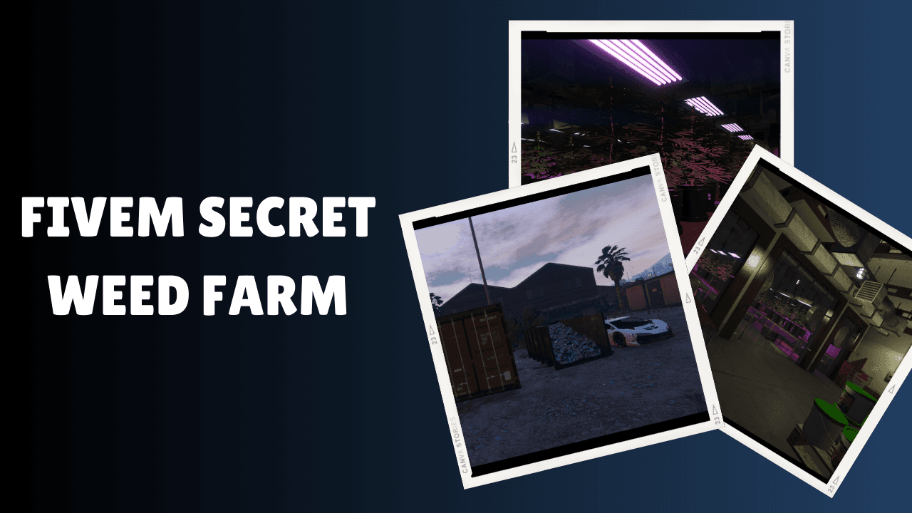 Fazenda Secreta de Maconha FiveM